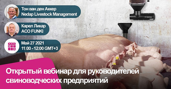 Вебинар - ACO FUNKI и NEDAP «Системный подход в свиноводстве #2: как повысить показатели в опоросном отделении?»